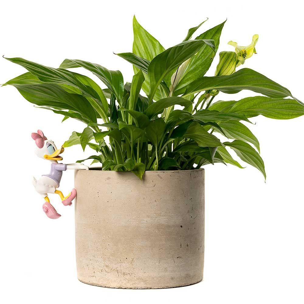 POTTY BUDDIES - MICKEY & FRIENDS - DAISY DUCK - DISNEY