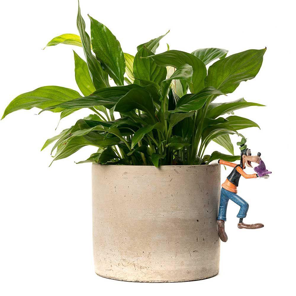 POTTY BUDDIES - MICKEY & FRIENDS - GOOFY - DISNEY