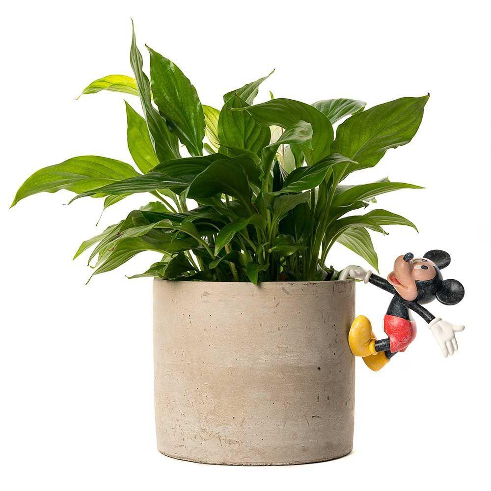 POTTY BUDDIES - MICKEY & FRIENDS - MICKEY MOUSE - DISNEY