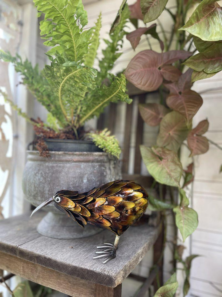 BABY METAL GARDEN KIWI