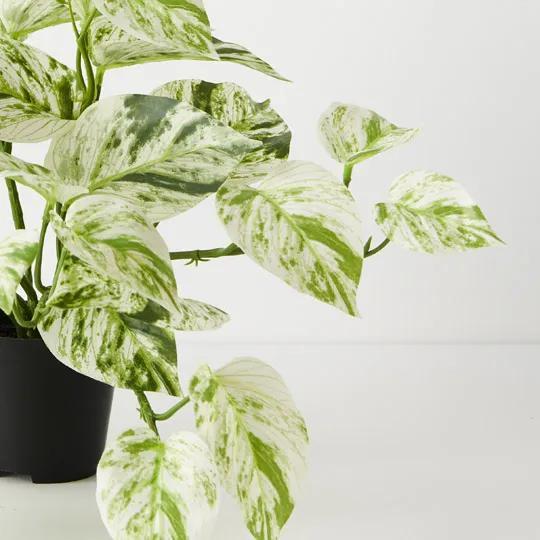 REAL TOUCH - ARTIFICIAL POTHOS MARBLE QUEEN BUSH PLANT IN POT