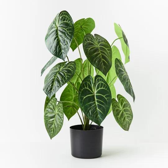 REAL TOUCH - ANTHURIUM CLARINERVIUM ARTIFICIAL PLANT IN POT