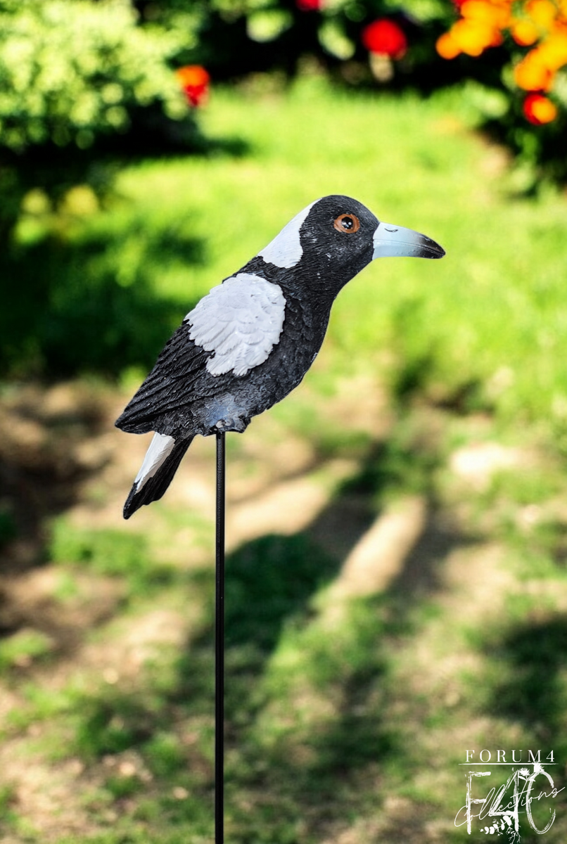AUSSIE BIRD ON A STICK - MAGPIE – Forum4 Collections