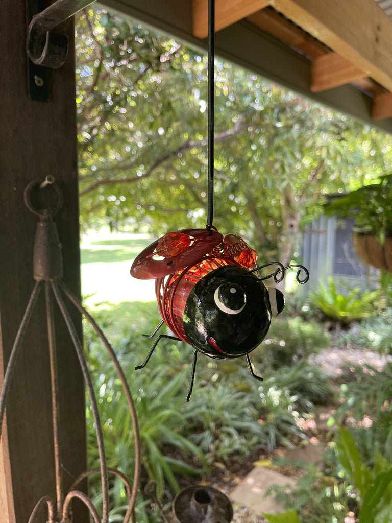 SOLAR LEAPING LADYBUG - HANGING GARDEN DECOR – Forum4 Collections